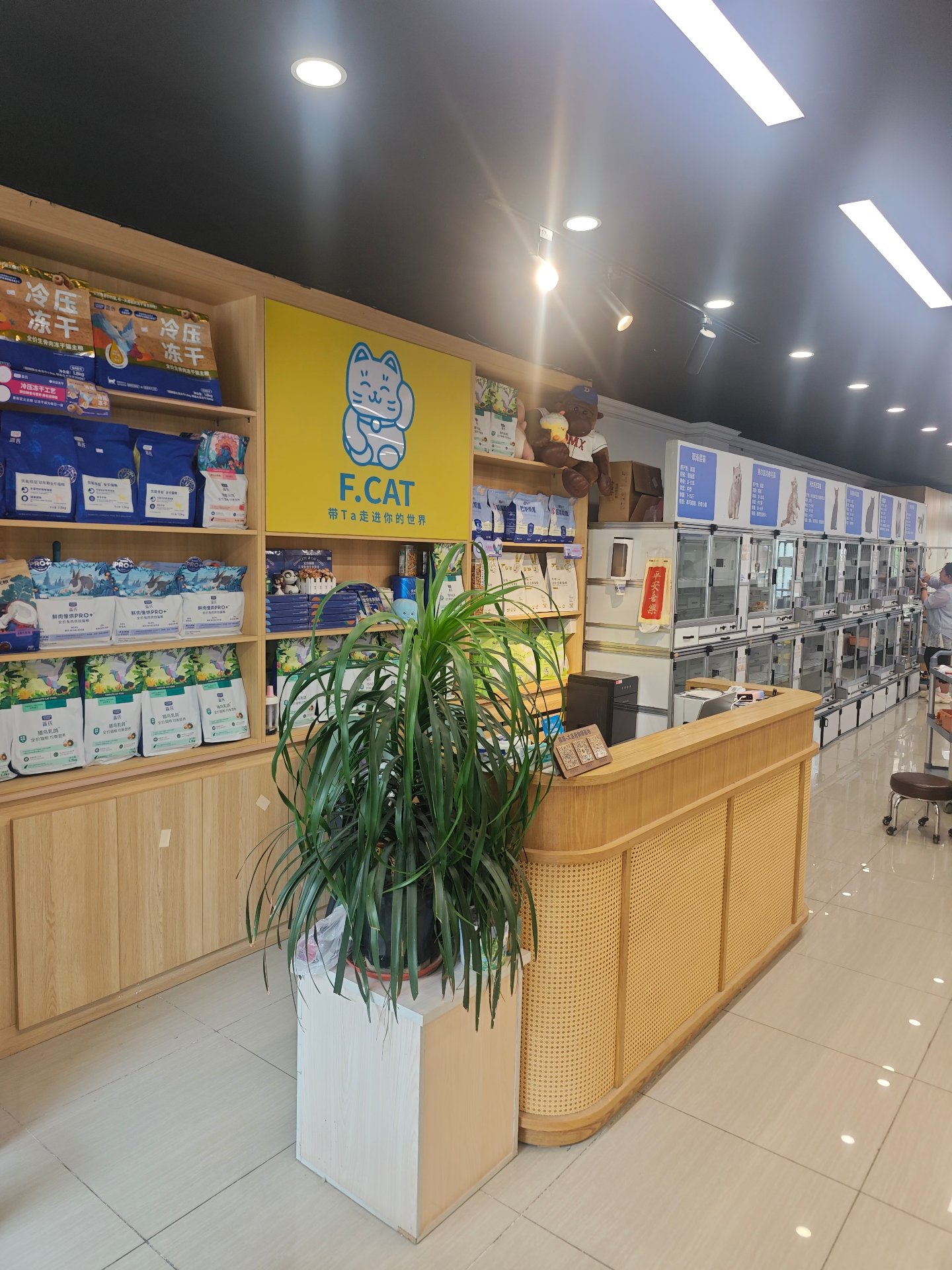 亿喵猫舍前台与宠物用品区实拍，猫粮猫砂冻干零食齐备